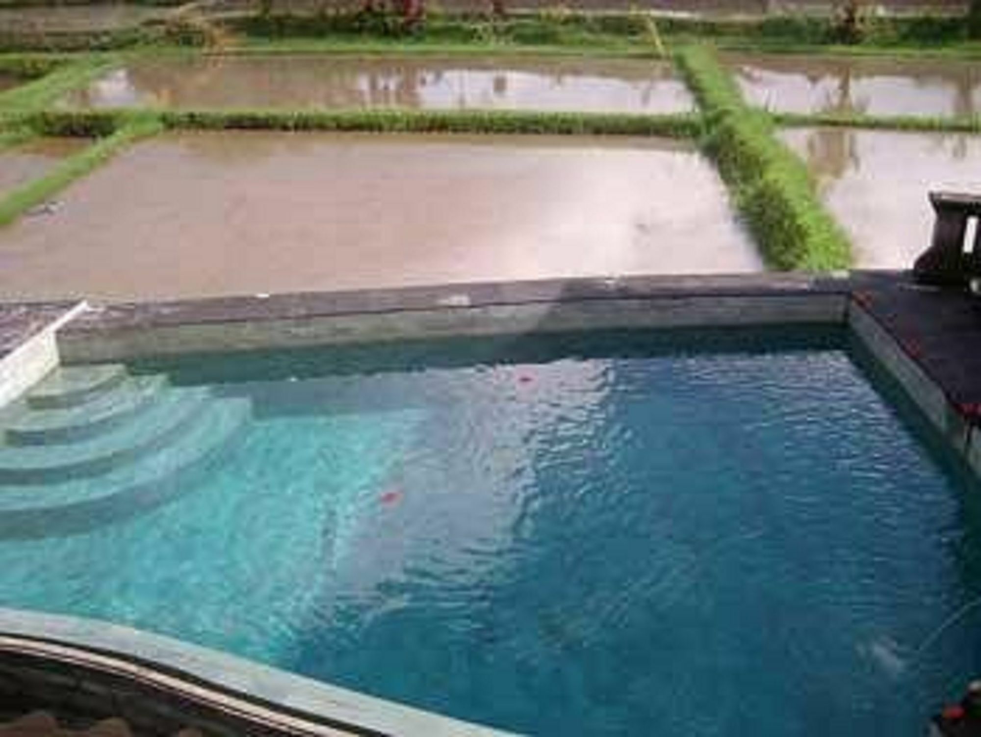 Ala'S Green Lagoon Ubud  Ngoại thất bức ảnh