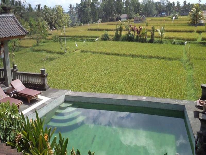 Ala'S Green Lagoon Ubud  Ngoại thất bức ảnh
